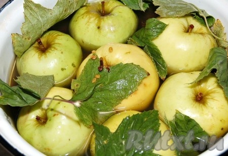 Для того, чтобы моченые яблоки получились вкусными, надо чтобы заливка покрывала их полностью.